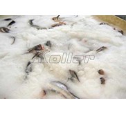 Mesin Es Slurry - Mesin Es Slurry 10 Ton Per Hari