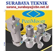 PEEI MOGER GEAR MOTOR 