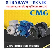 CMG ELECTRIC MOTOR
