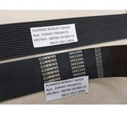 CUMMINS V RIBBED BELT NEW 3002206