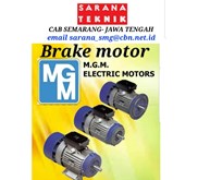 Brake Motor                              