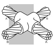 MOULDING CC4, CETAKAN MOULDING CROSS KABEL KE KABEL (TEKPINWELD)