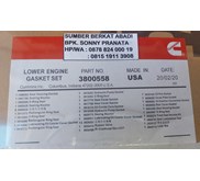 CUMMINS 3800558 3800348 3806183 3802389 3802354 3802087 - LOWER GASKET