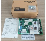 AVR NEWTRON NW-01 NW01 NW 01 INPUT 190-246VAC 1P OUTPUT 90VDC 40A ASLI