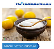 Processed Citric Acid di Surabaya