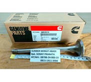 CUMMINS 3803512 4955698 INTAKE VALVE 135957 3000926 NTA855 V28 VTA1710