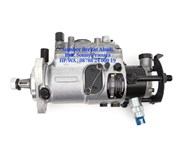 PERKINS 2643B317P 2643B317 FUEL INJECTION PUMP 2643 B317P - GENUINE