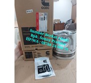 CUMMINS 3096681 PISTON KIT 3631245 (PISTON+PIN+SNAP RING) KTA19 QSK38