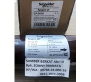 SCHNEIDER 50A 50A 24KV 442MM 51006545M0 CF-24/50 51006545 M0 004255012