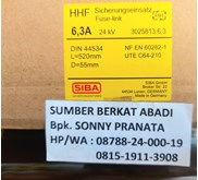 FUSE SIBA 6,3A SIBA 6.3A 24kV D 55MM L 520MM 80N 63 KA 28A 3025813.6,3
