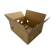 Box Buah Karton Box