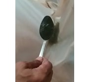Benih Ikan / Bibit Ikan Patin ukuran Larva