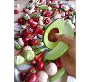 Food Model bahan baku fiber (polyserin) ( 50 item)