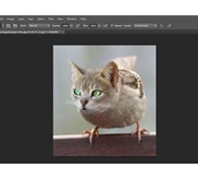 Kursus Photoshop Anak SD