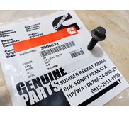 CUMMINS 3900631 SCREW HEXAGON FLANGE HEAD CAP