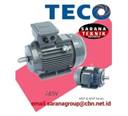 TECO AESV Series Motor Electric Distributor Sarana Teknik
