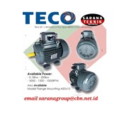 TECO IE - 1 Motor Electric Distributor Sarana Teknik