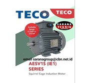 Supplier Electric Motor Teco