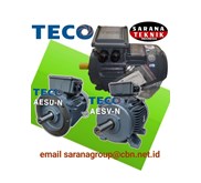 TECO AESU & AESV Series Motor Electric Distributor Sarana Teknik