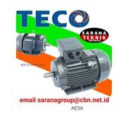 TECO AEEF & AEVF Series Motor Electric Distributor Sarana Teknik