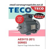 Distributor Teco Electric Motor