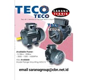 TECO AESU - N Series Motor Electric Distributor Sarana Teknik