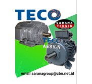 TECO AESV - N Motor Electric Distributor