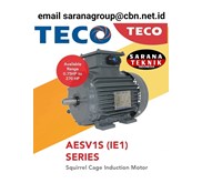 Squirrel Cage Induction Motor Teco