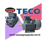 TECO AESU - N Motor Electric Distributor