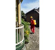 JASA PEST CONTROL DI MALANG