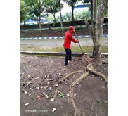 JASA GARDENING TERBAIK