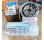 DONALDSON P553771 P55-3771 P55 3771 J8610962 J86-10962 W962 LF4054 