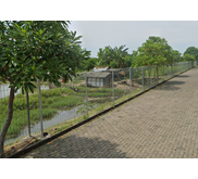 Pagar BRC Elektroplating 90cm x 240cm x 5.3mm