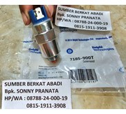 DELPHI 28363771 SOLENOID 7185-900T 7167620D 7W-6249  - ASLI