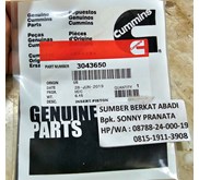 CUMMINS 3043650 INSERT PISTON 214719 VTA28 VTA1710