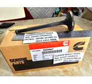 CUMMINS 3920867 INTAKE 3901117 4995554 VALVE 6BT