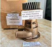 JABSCO 4255412 WATER PUMP 425-5412 29630-1100 29630-1201 SABRE 50444