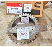 CUMMINS 3014614 CRANKSHAFT GEAR 215965 214237 GEAR 211884 187632 NT855