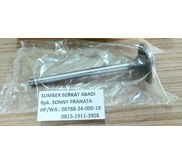 CUMMINS 3924492 3802463 INTAKE VALVE 3915506 3902253