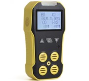 BH-4A Portable Multi Gas Detector
