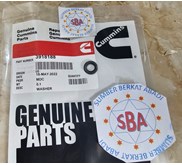 CUMMINS 3918188 SEALING WASHER 3903728