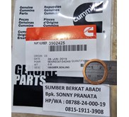 CUMMINS 3902425 SEALING WASHER