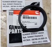 CUMMINS 3903475 RING SEAL RECTANGULAR 3901856
