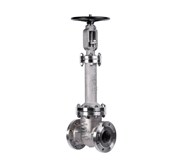 CRYOGENIC GATE VALVES