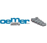 OEMER SERVO MOTOR High-Performance HQL - HQLA SERIES