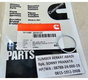 CUMMINS 3070137 SEAL O-RING - N14 M11 ISM QSM