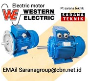 Western Electric Motor