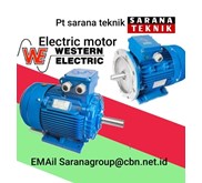 Electric Motor Western Made in Austria