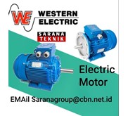 Western Electric Motor Made in Austria