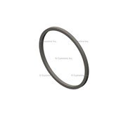 CUMMINS 3820946 RECTANGULAR RING SEAL 3820029 GEAR HOUSING SEAL